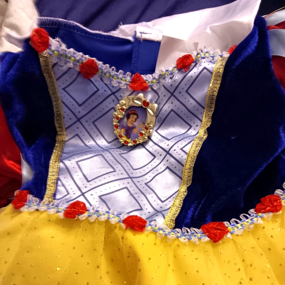 Snow White Costume with shoes.